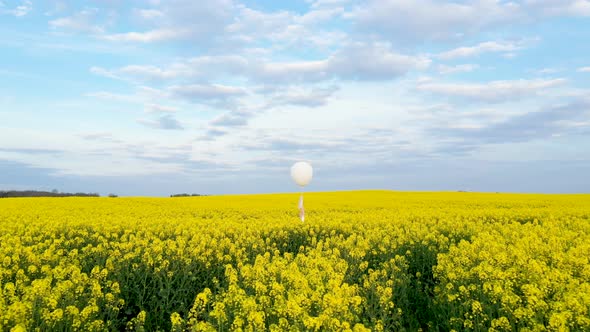 White Balloon In Yellow Meadow
