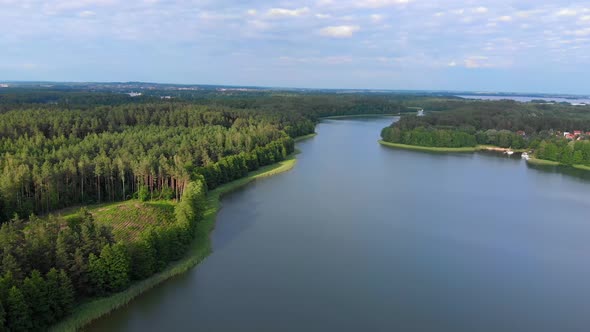 Forest Lake Aerial