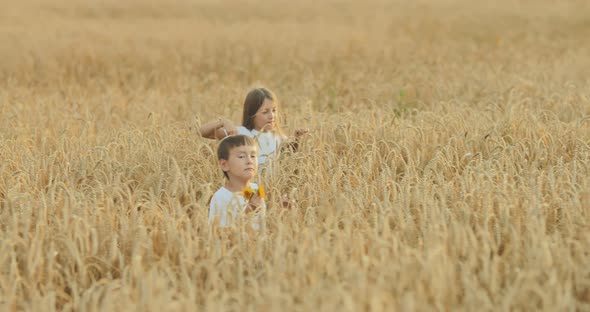 Pretty Children are Walking in a Golden Wheat Field