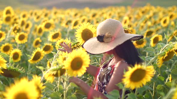 Romantic and Emotional Woman in Sunflowers alt