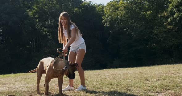 Happy Young Female Cheerfully Playing Leash with Dog in the Lawn. Love and Friendship with Domestic