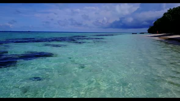 Aerial top view travel of tranquil coastline beach wildlife by turquoise sea and white sand backgrou alt
