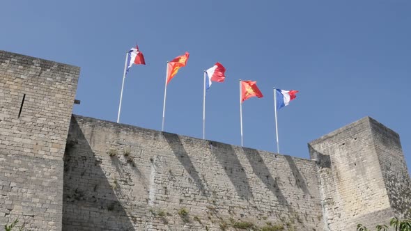 CAEN, FRANCE - JULY 2016 Flags of France and Normandy waving  on wind in city center castle by the d alt
