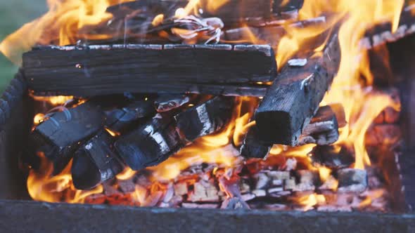 Slow-motion shooting of the fire. Charred wood burning in the campfire alt