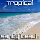 Tropical Beach With Palm - VideoHive Item for Sale