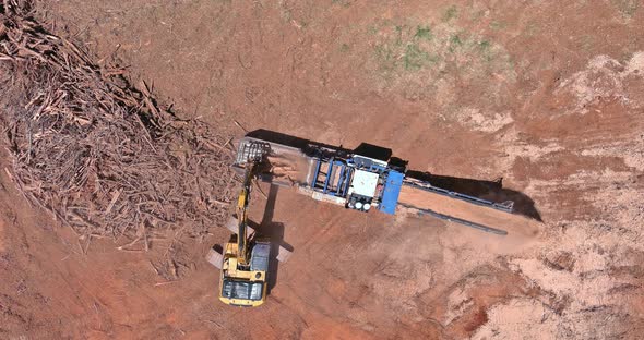 Conveyor of Stationary Industrial Wood Shredder Producing Wood Chips alt