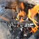 Bonfire 03 - VideoHive Item for Sale