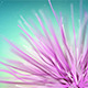 Abstract Flower Particle - VideoHive Item for Sale