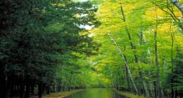 Folk Music of Belarus