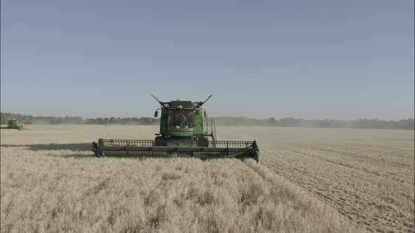 Combine Harvesting Wheat Top View of a Wheatfield alt