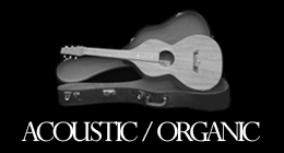ACOUSTIC - ORGANIC