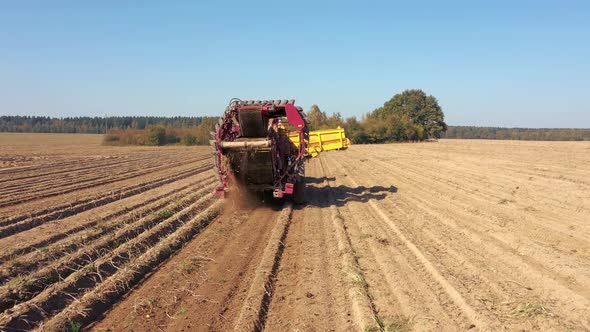 Tractor Machine Combine Harvests Ripe Potatoes From A Rural Agricultural Field alt