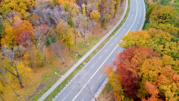 Aerial cars driving road in yellow autumn forest