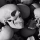 Skulls - VideoHive Item for Sale