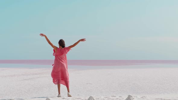 Rear View Romantic Dreamy Woman in Blowing Pink Dress Enjoying View alt