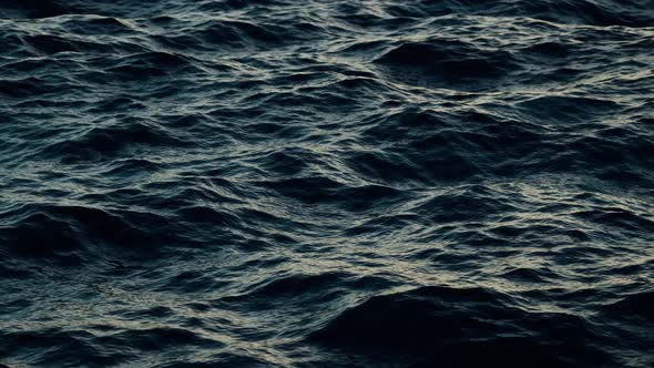 Ocean, Motion Graphics | VideoHive