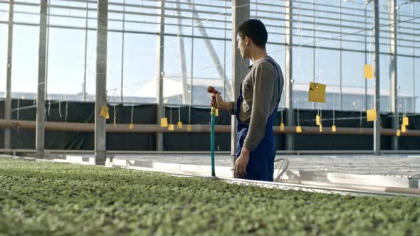 Greenhouse Laborer Watering Seedlings alt