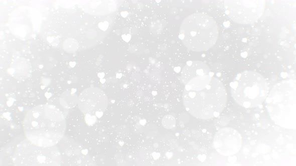 Wedding White Background