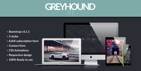 Greyhound - 3 - ThemeForest 7774716