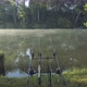 Carp Rods on Fishing Pond - VideoHive Item for Sale