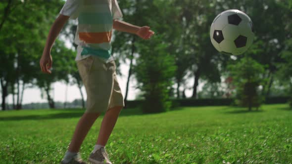 Active Boy Kick Ball on Green Grass alt