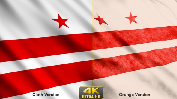 Washington Dc Flags alt