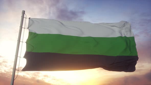 Neutrois Pride Flag Waving in the Wind Sky and Sun Background alt