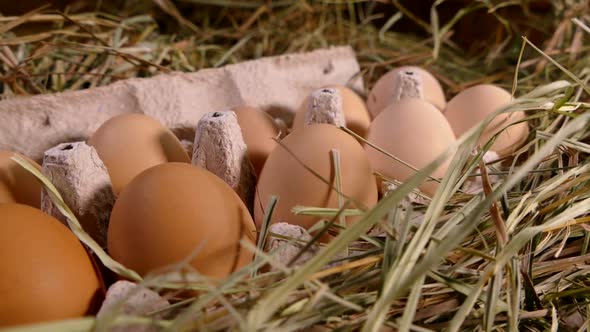 Chicken Eggs Close-up in a Tray, Collect Eggs with Your Hands on a Home Chicken Farm