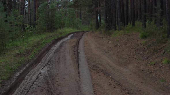 Aerial view. Trail and car tracks in the forest