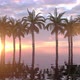 Sunset Landscape With Tropical Palm Trees Silhouettes - VideoHive Item for Sale