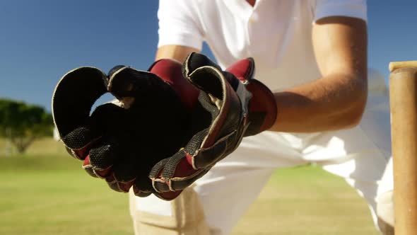 Wicket keeper collecting cricket ball behind stumps on cricket field alt