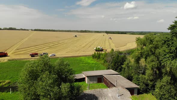 Harvesting Grain By the Combine in the Central Black Earth of Russia