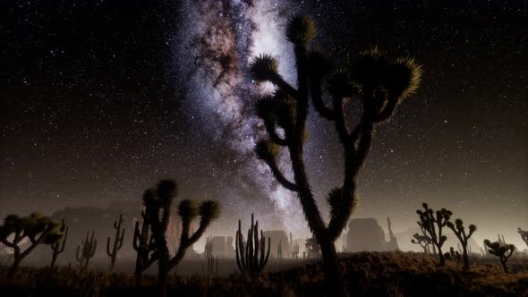 Hyperlapse in Death Valley National Park Desert Moonlit Under Galaxy Stars alt