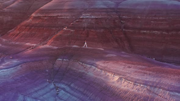 Female with Backpack Hiking By Wilderness  Cinematic Golden Sunset Background alt