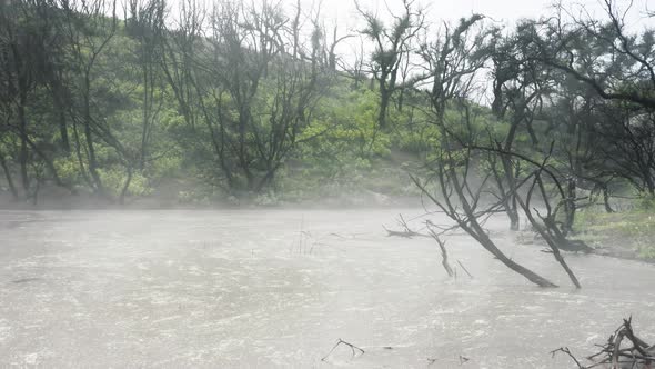 Spooky Mist Above Swamp in Mysterious Scary Uninhabited Forest with No People alt