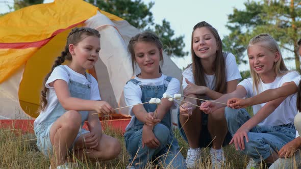 Group of Happy Girls Frying Marshmallows on Campfire alt