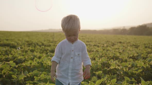 Child a Handsome Boy Plays in a Field in the Summer He Catches Blowing Soap Bubbles alt