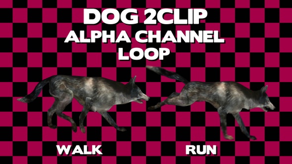 Dog 2 Clip Loop Alpha