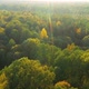 Calm Flight Through Fall Autumn Forest During Beautiful Sunset Evening - VideoHive Item for Sale