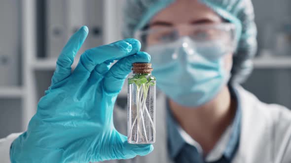 Biotechnology Concept With Scientist In Laboratory. A Woman Scientist Is Engaged In Study Of Plants alt