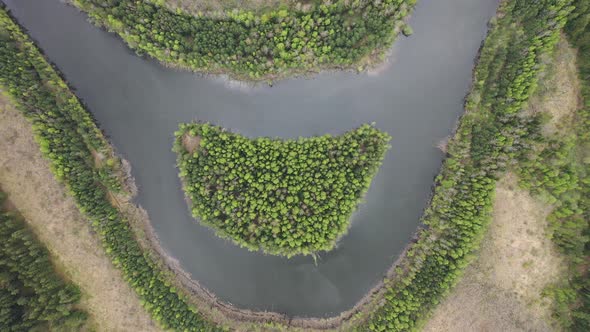 Top View of a River in a Forest in Eastern Europe alt