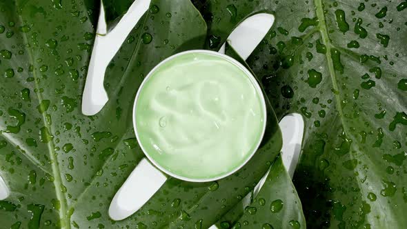 Green Cosmetic Cream with Rotation on Background of Tropical Leaves Monstera alt