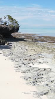 Vertical Video Empty Beach on Zanzibar Island Tanzania alt