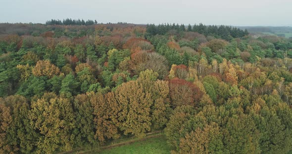 Aerial view of hills and autumn forest, Berg en Dal, Gelderland, Netherlands. alt