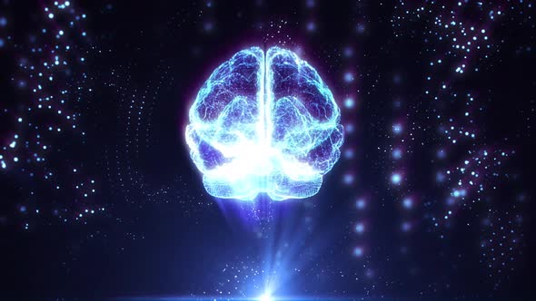 Holographic Human Brain Rotating in Virtual Space Xrays Futuristic Technologies