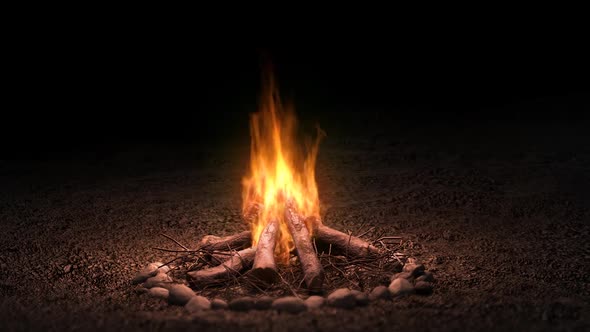 Animation Of A Campfire In Nature