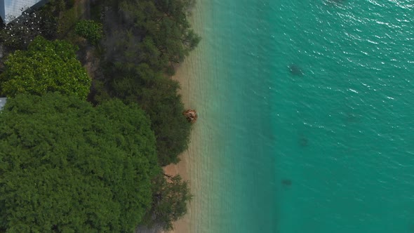Aerial Flight above houses on the beach with palm trees and torques water. Paradise tropical island alt