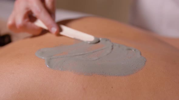 Woman and Cosmetologist Applying Clay Mask in Spa alt