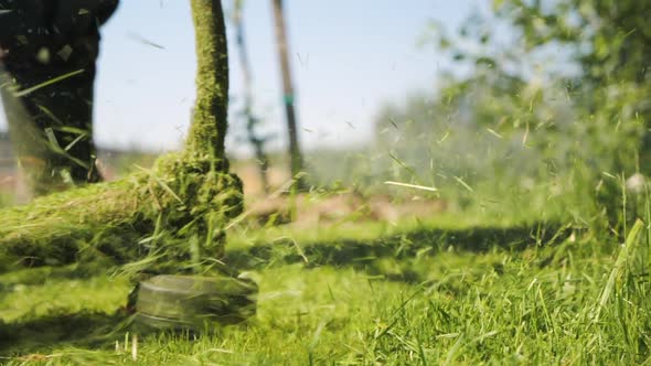 Male Gardener Mowing Green Lawn with Manual Gas Grass Mower Garden Maintenance alt