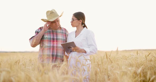 Old Farmer in Straw Hat and Young Scientist in White Coat Working in Yellow Wheat Field alt